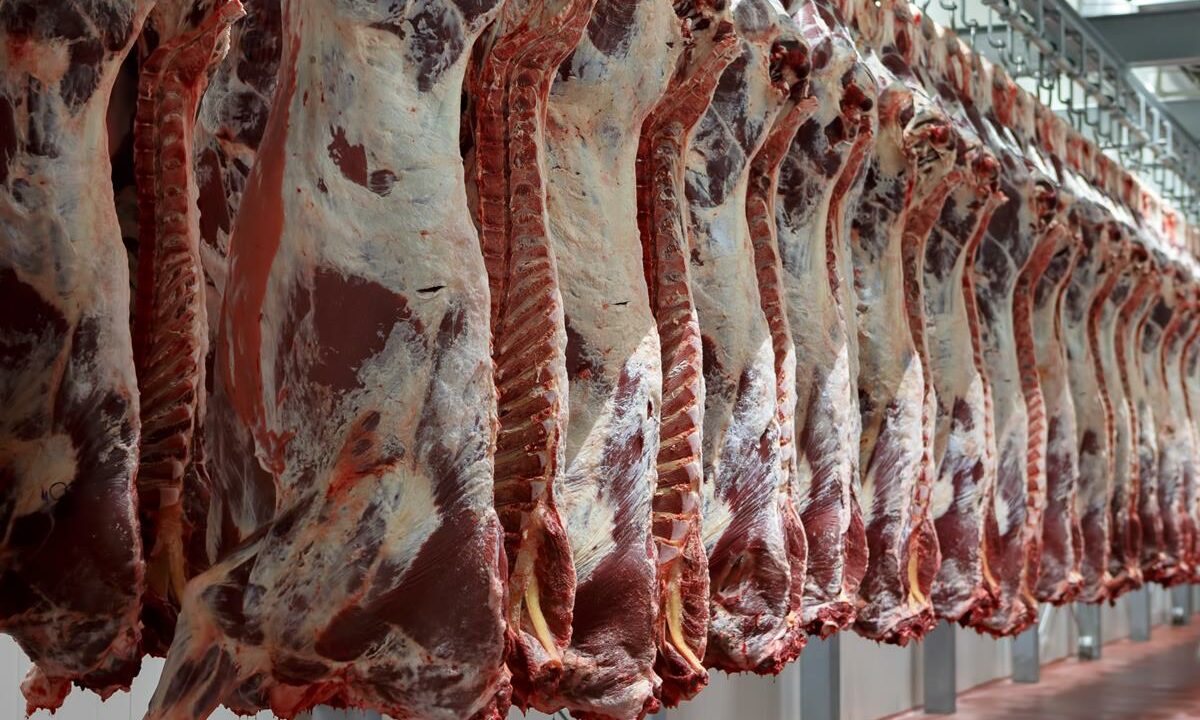 beef-carcasses-hanging-4-1200x720