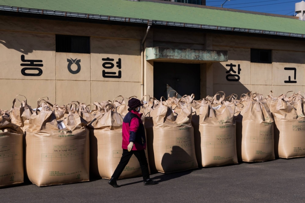 South Korean Government Purchases Rice For Reserve