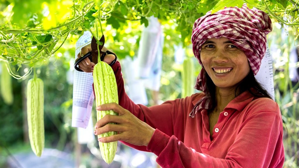 food-security