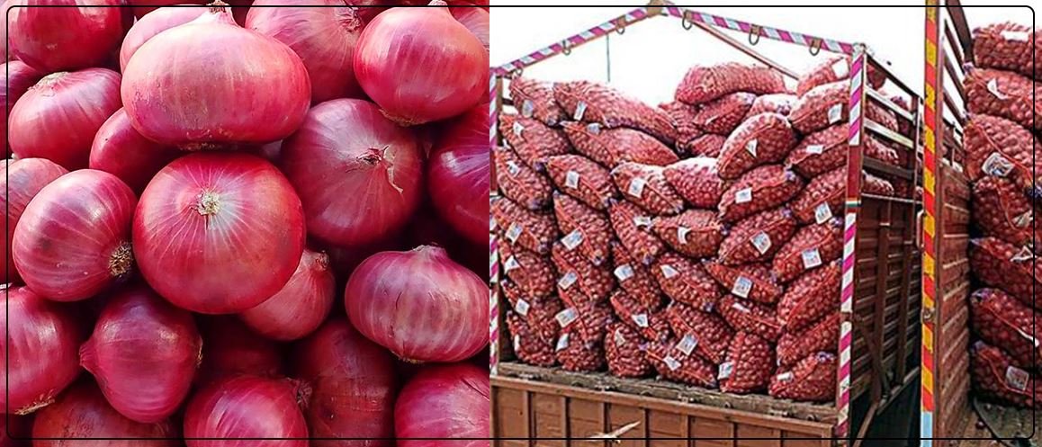 onion_Nch4J0igA3