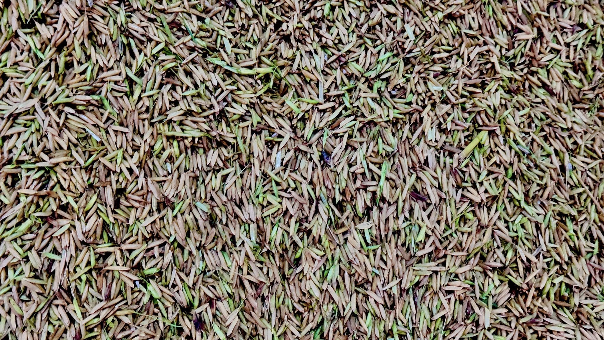 532773576_1407843218017022_6049902005167936862_n