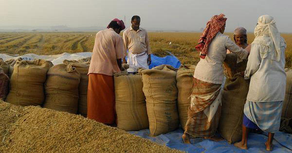 IMG_Bangladesh-offe_GC0A_2_1_6CAV8HFJ