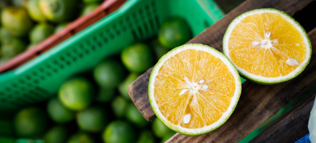 laranja-citrus