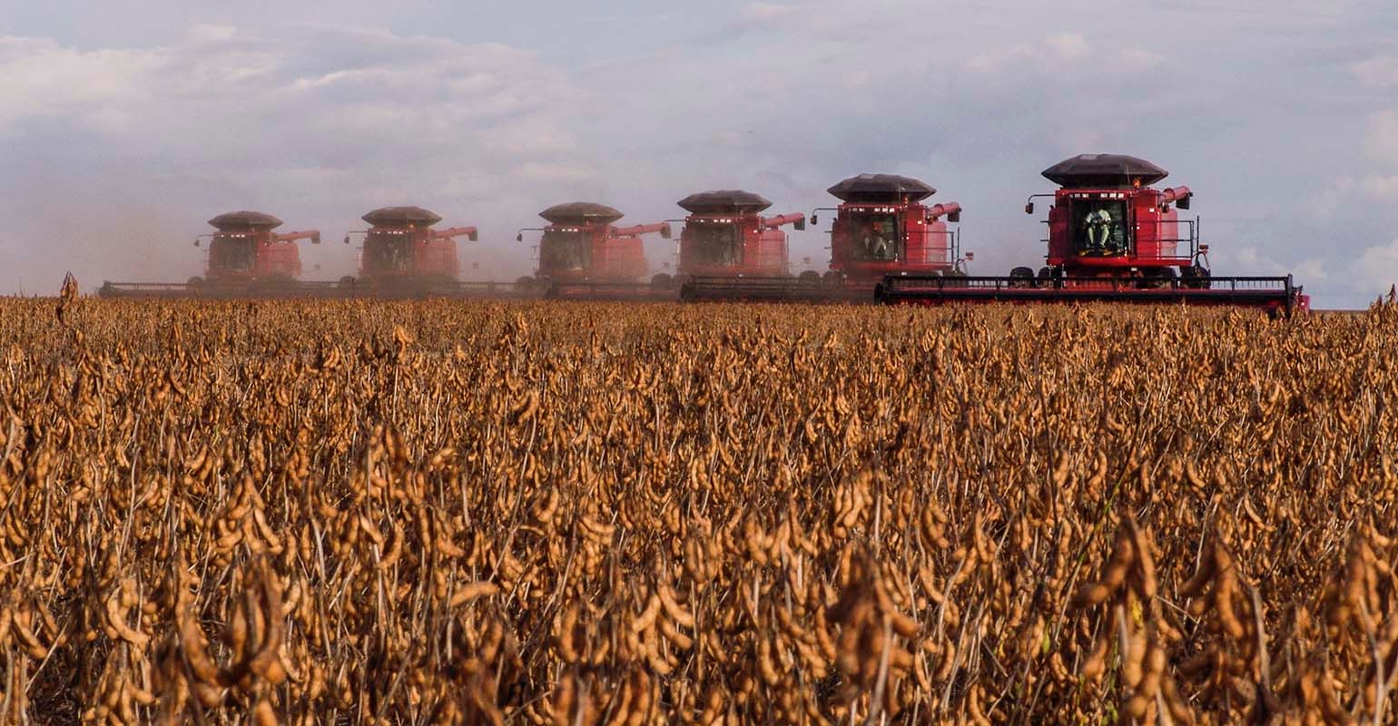 SoybeanHarvest011017_0_1