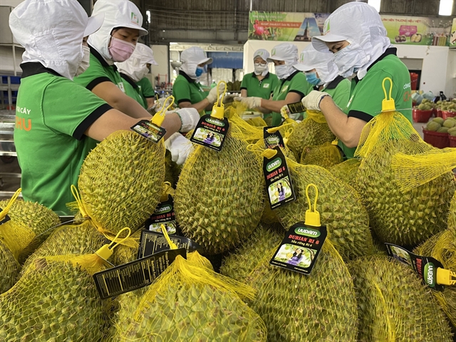 396833_durian