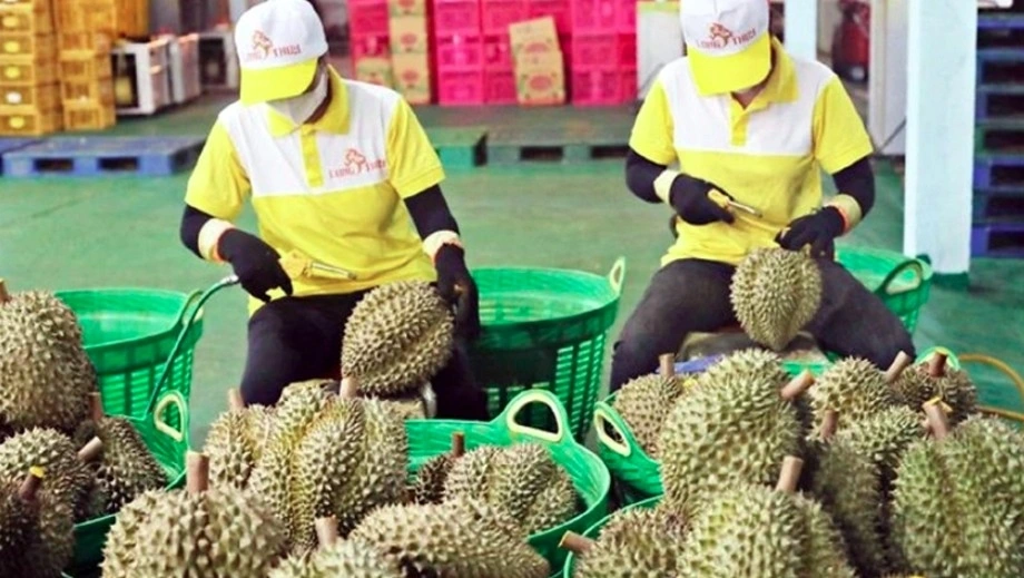Durian