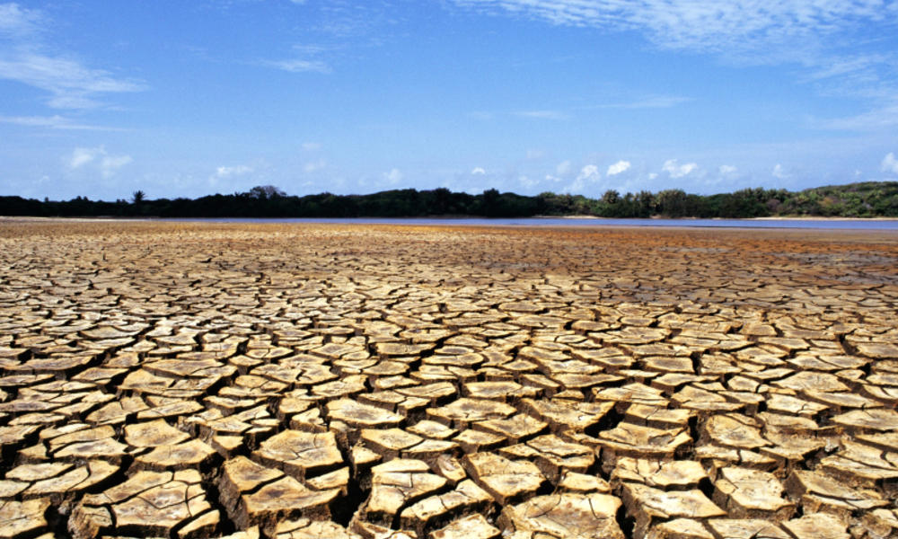climate_c_impact_latin_america___drought___ilha_do_caju___258900__wwf__603774