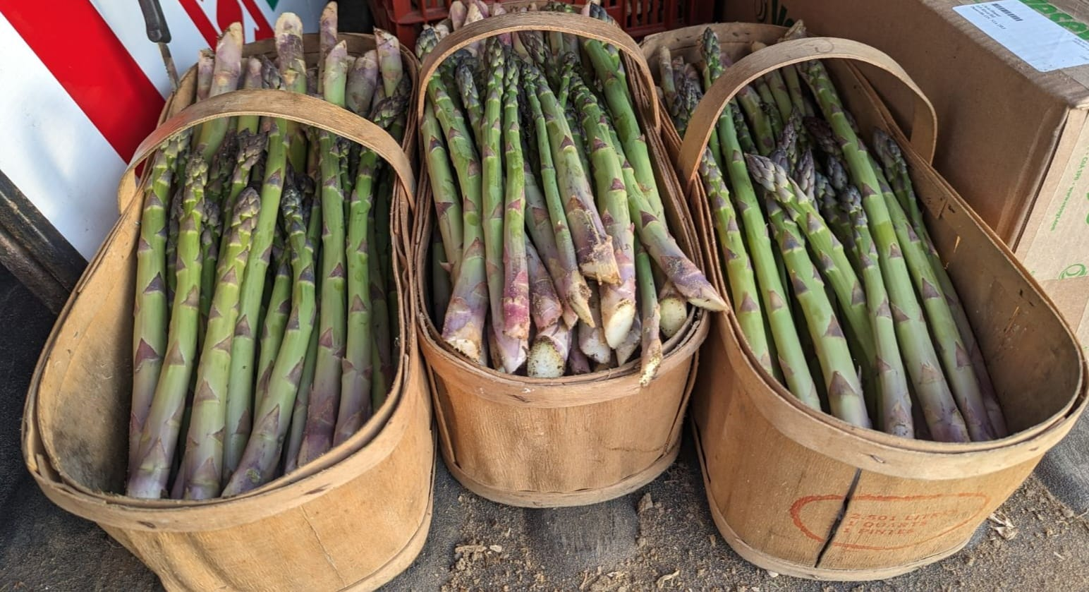 image_2025-10-08_09-11-30