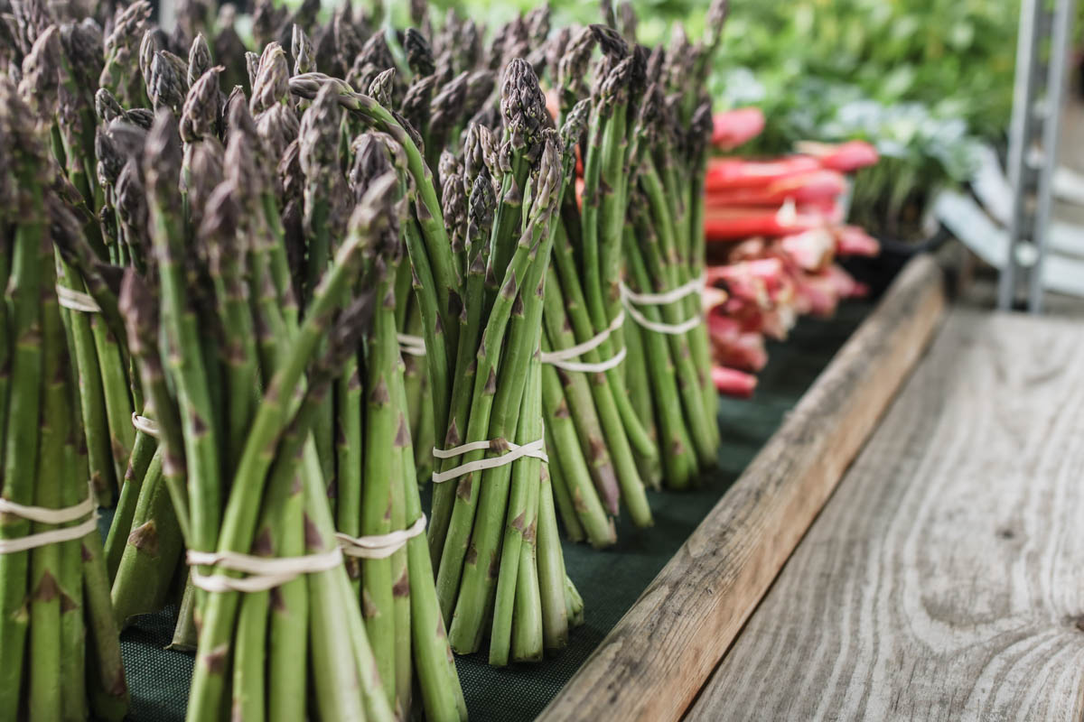 image_2025-10-08_09-11-52