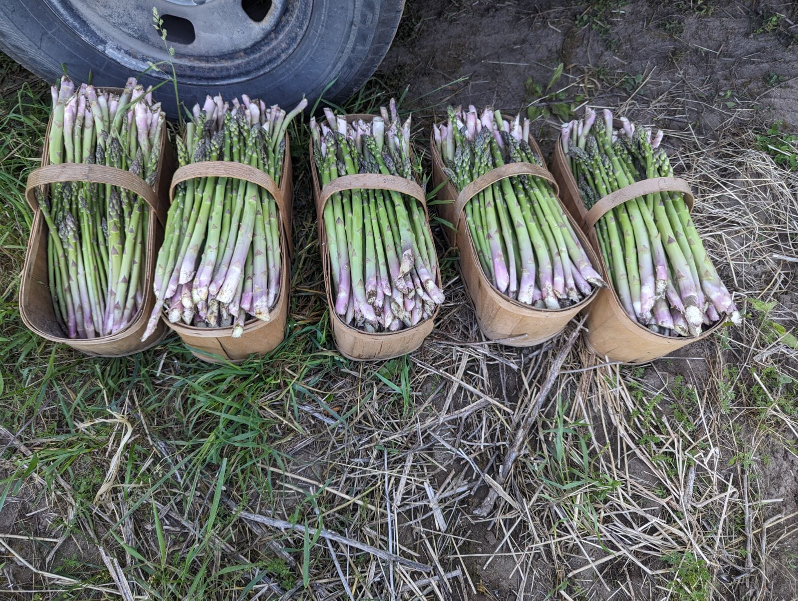 image_2025-10-08_09-12-41