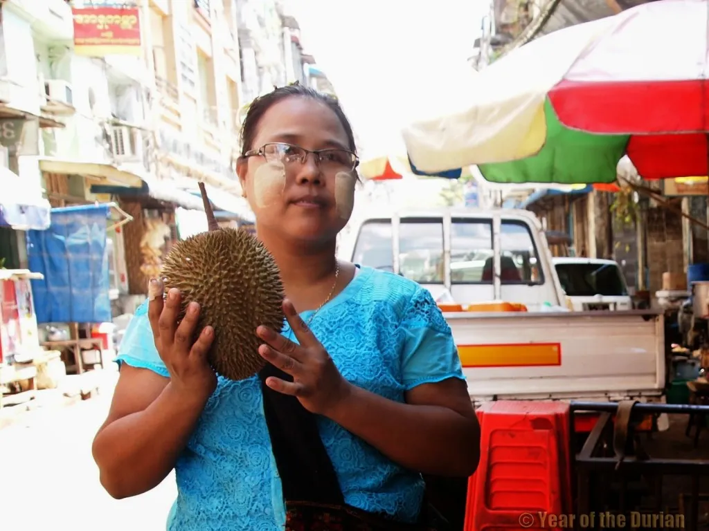 image_2025-10-20_11-24-34