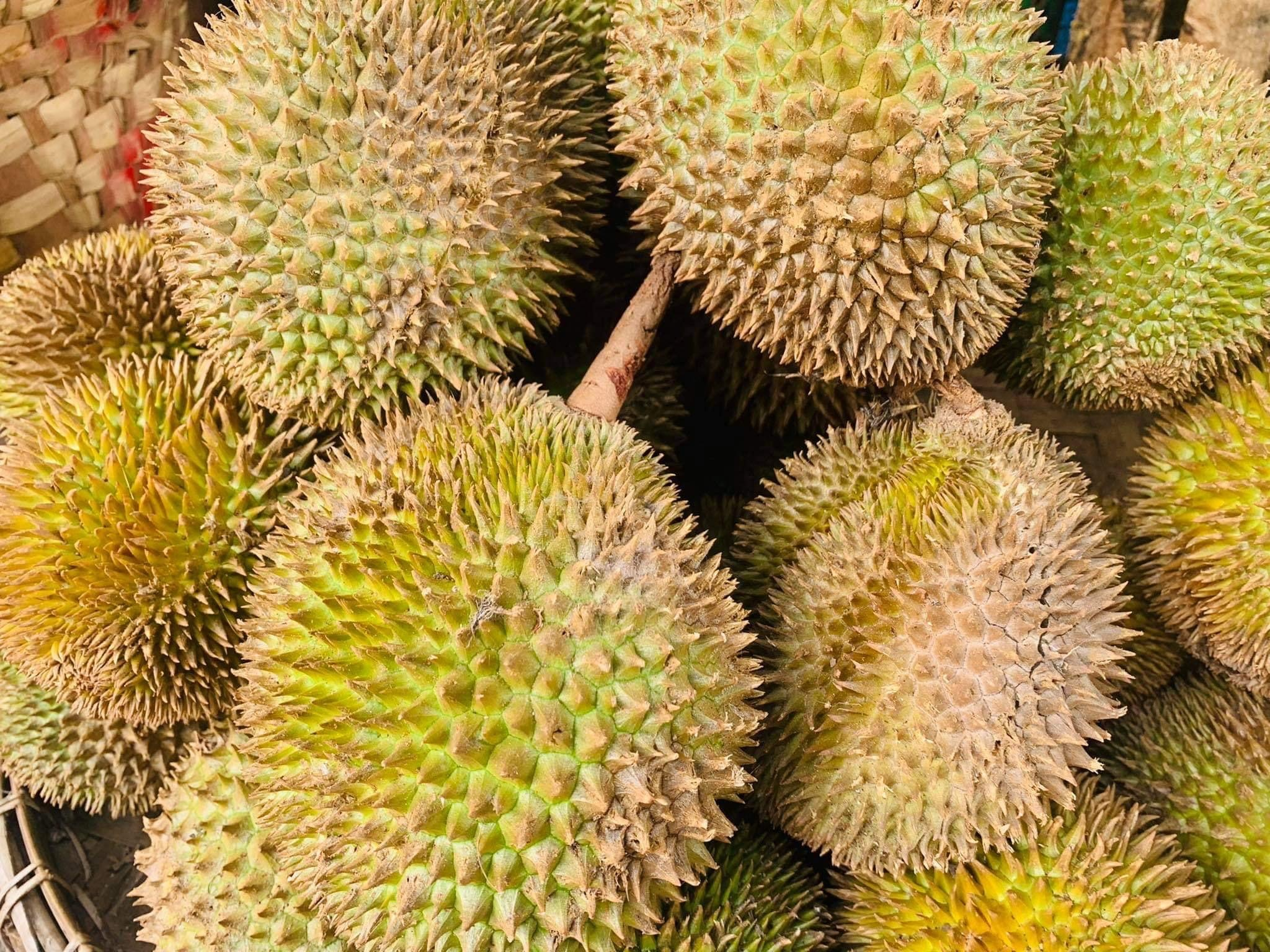 image_2025-10-20_11-36-49