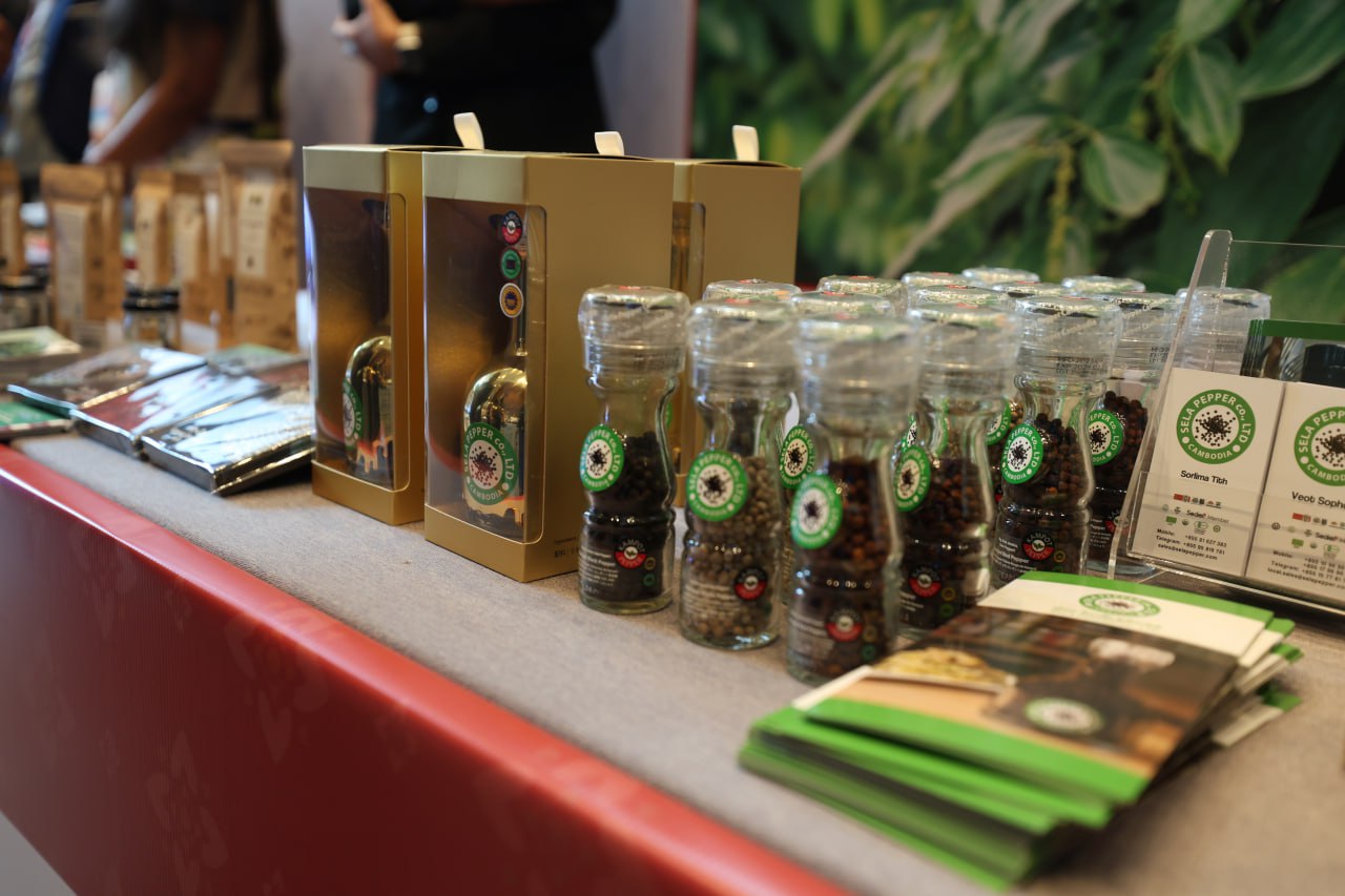 photo_2025-10-31_08-05-34 (2)