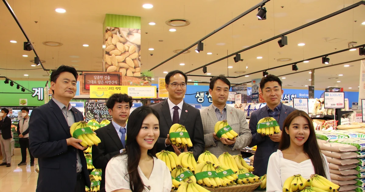 Vietnamese_bananas_hit_shelves_of_Lotte_Mart_in_RoK