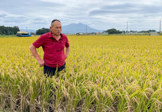 image_2025-11-12_13-25-27