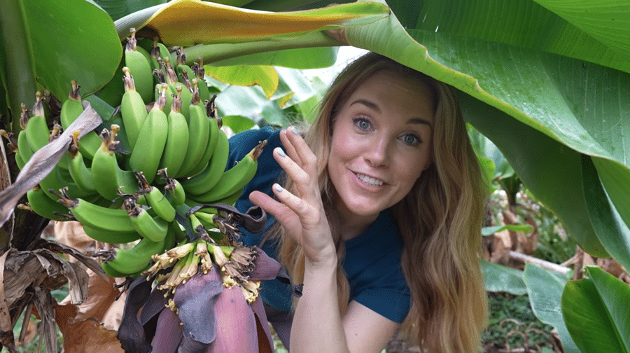 image_2025-11-19_07-38-23