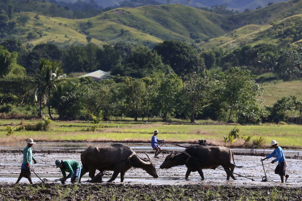 image_2025-11-24_09-24-35