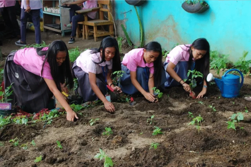 image_2025-11-26_09-16-31