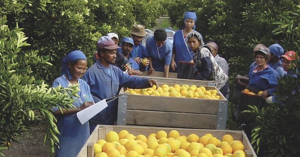 image_2025-11-27_09-19-39