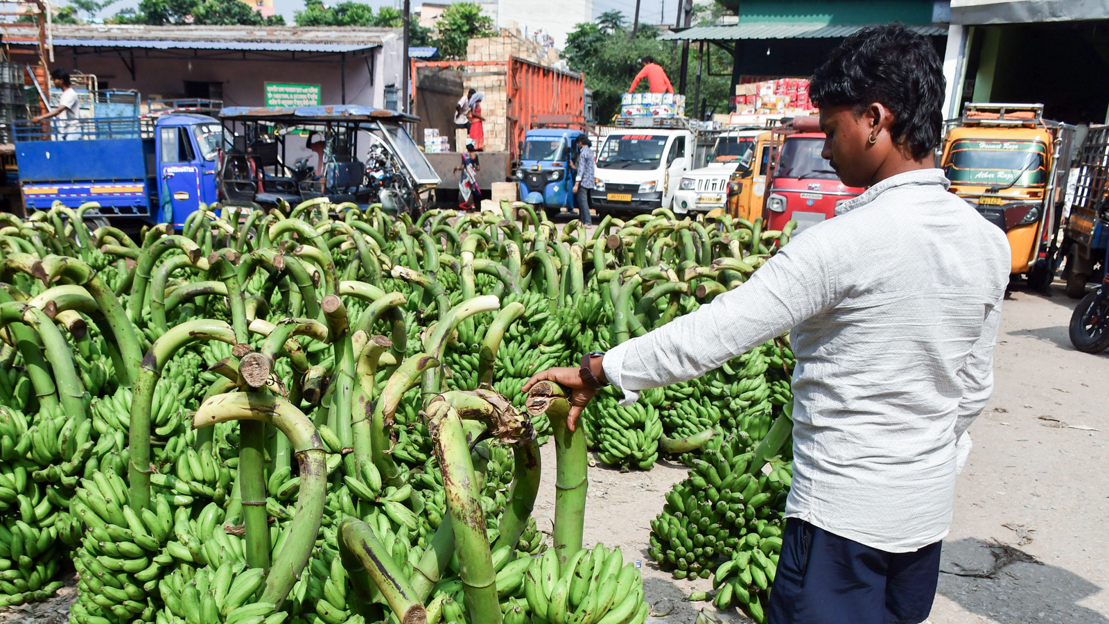 image_2025-11-27_15-47-08