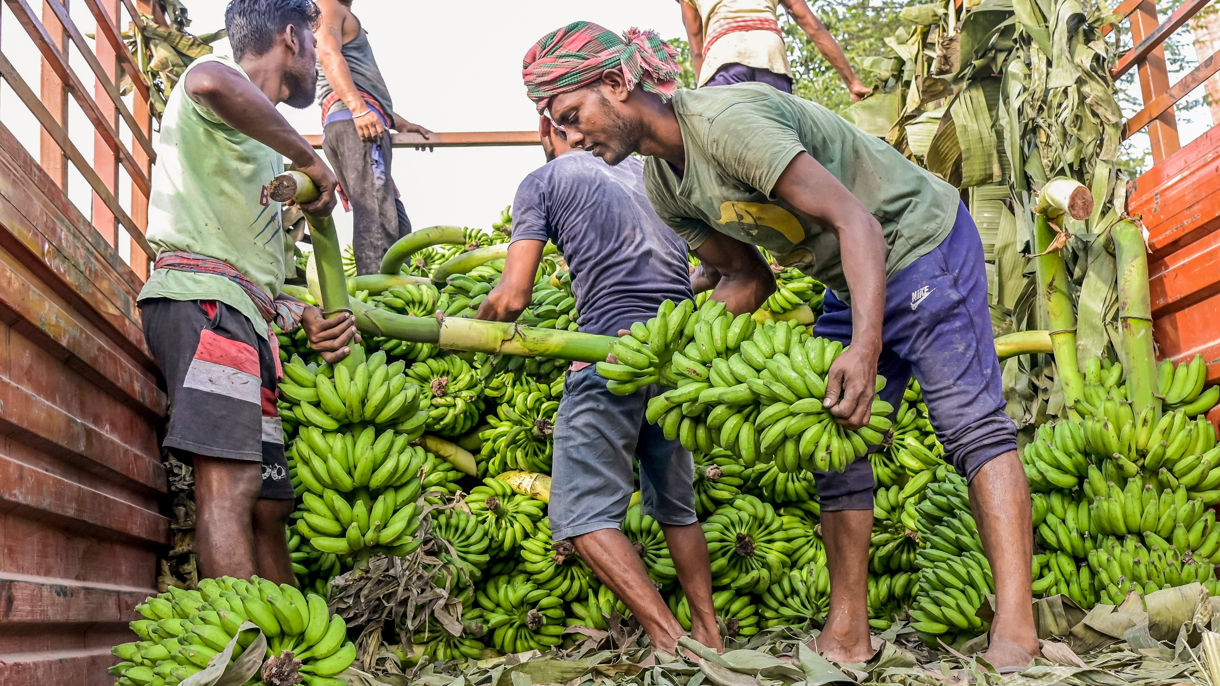 image_2025-11-27_15-49-42