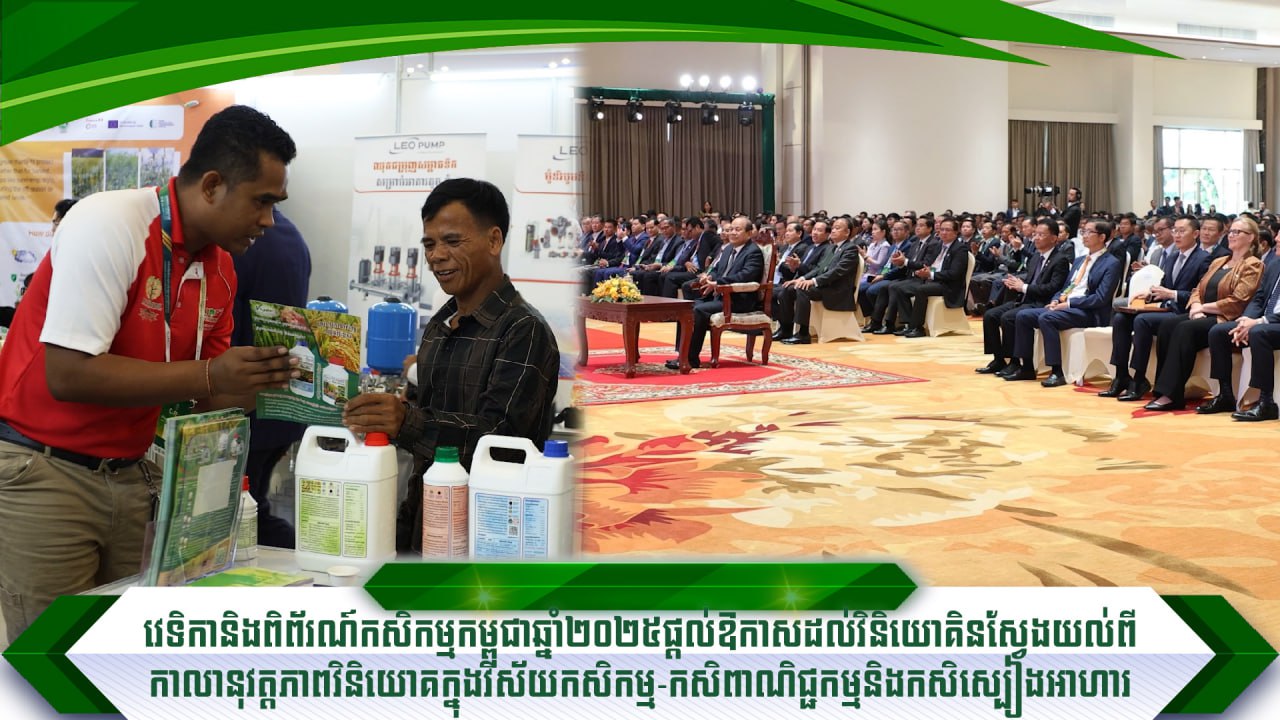 photo_2025-11-14_11-20-00