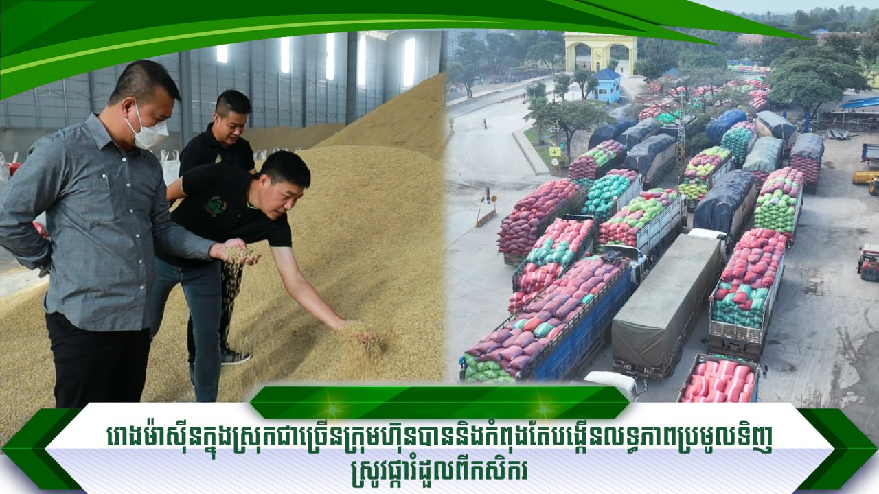 photo_2025-11-14_13-02-10