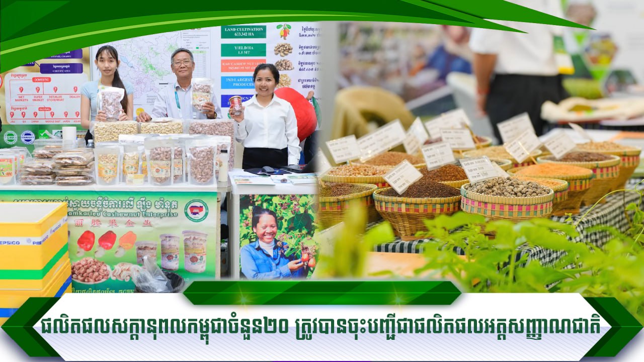 photo_2025-11-19_11-14-38