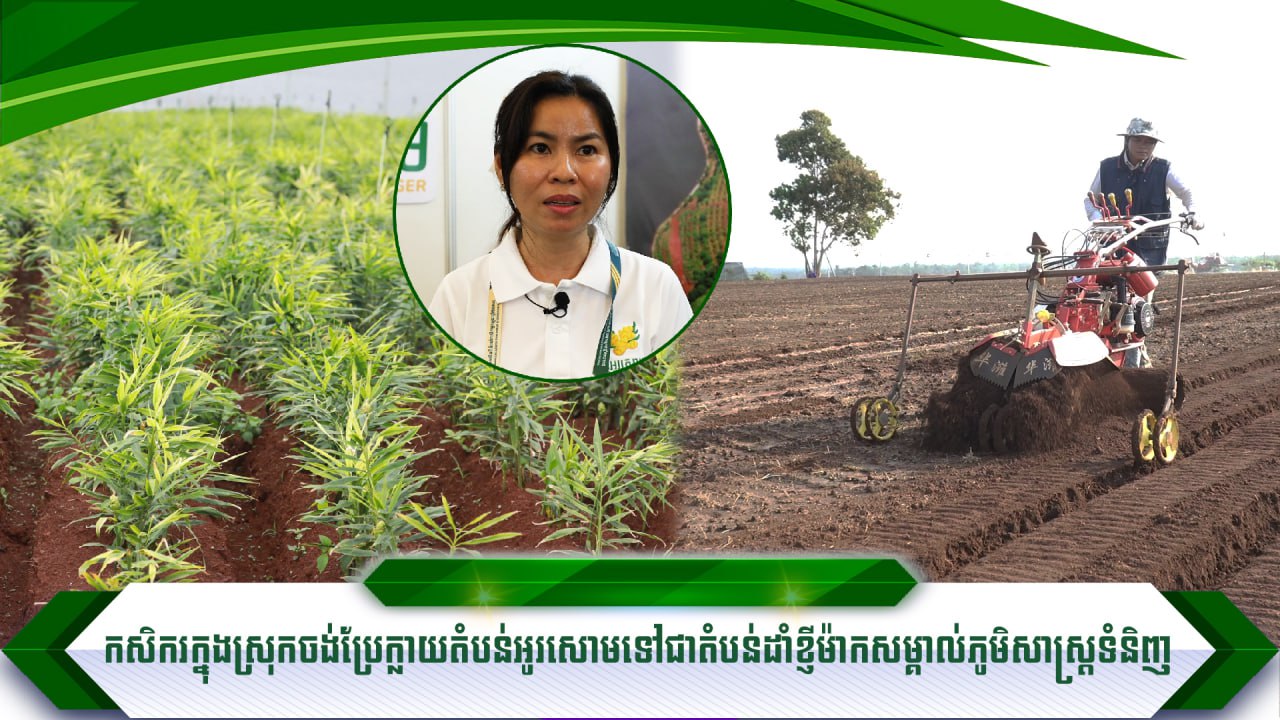 photo_2025-11-24_10-43-32