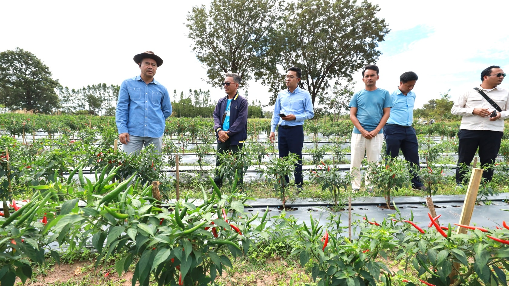 594547993_1302677838569168_8380250433158105774_n