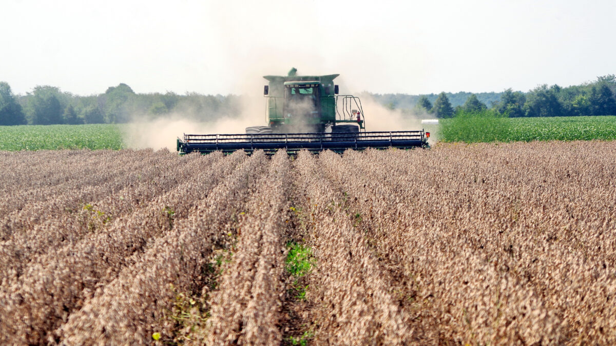 ArkansasFB_SoybeanHarvestCombine_feat_2023-04-03-135302_mdcr