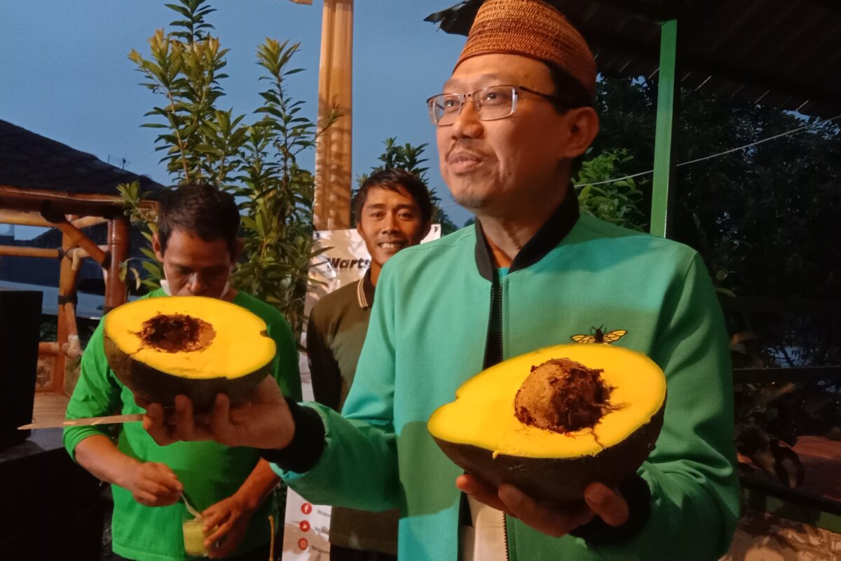 F-Alpukat-3-1200x800-1