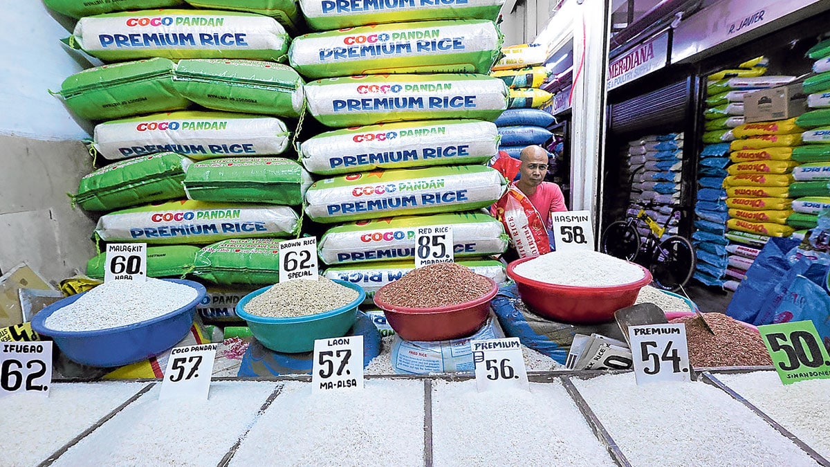 Rice-DTI-20January2025-1