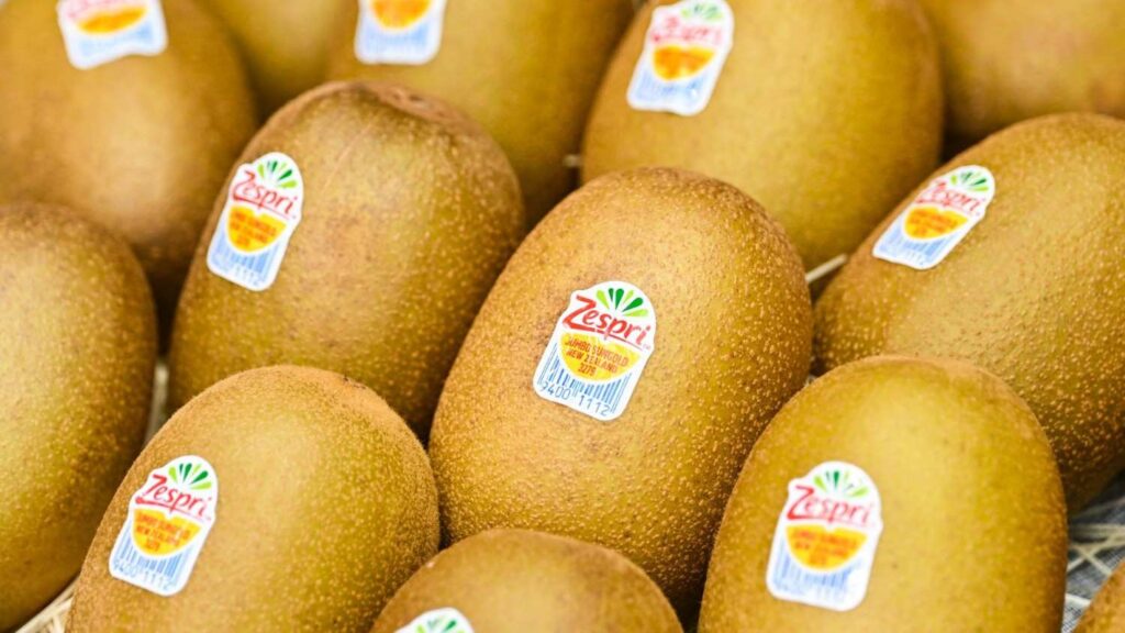 Zespri-Kiwifruit-1024x576