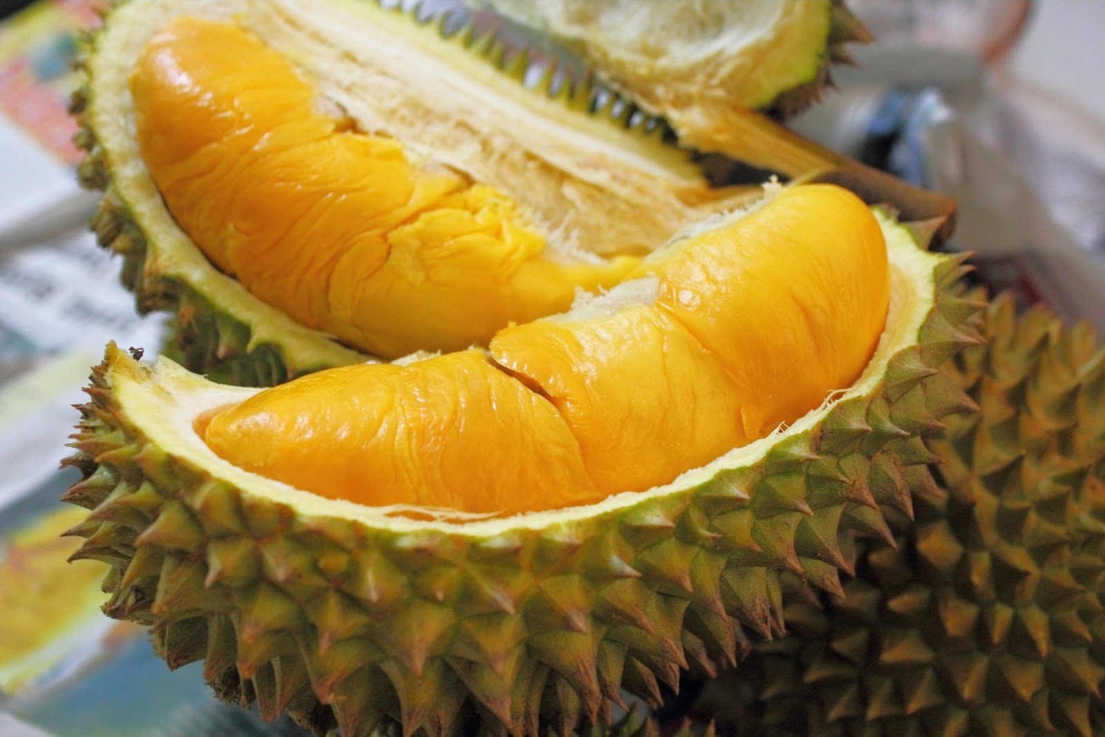 durian_MK