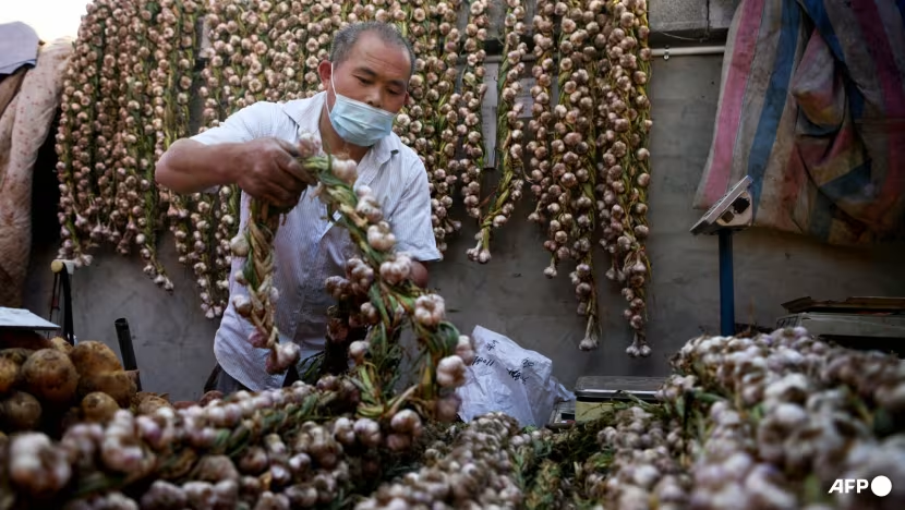 image_2025-12-01_13-31-45