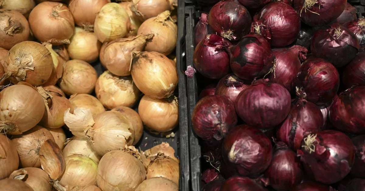 image_2025-12-01_13-49-16