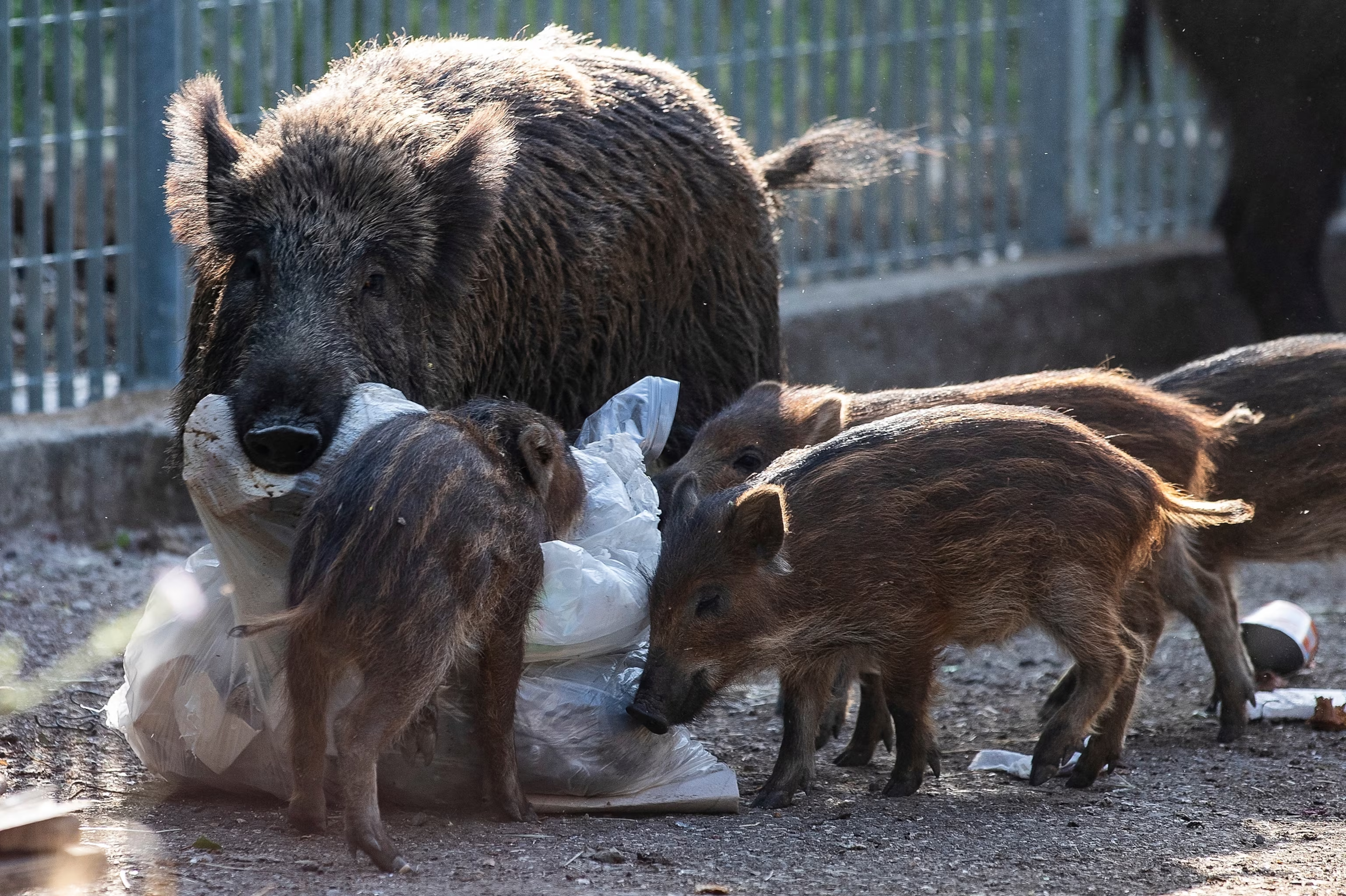 image_2025-12-03_09-41-09