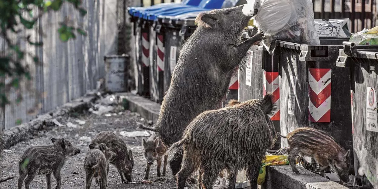 image_2025-12-03_09-45-18