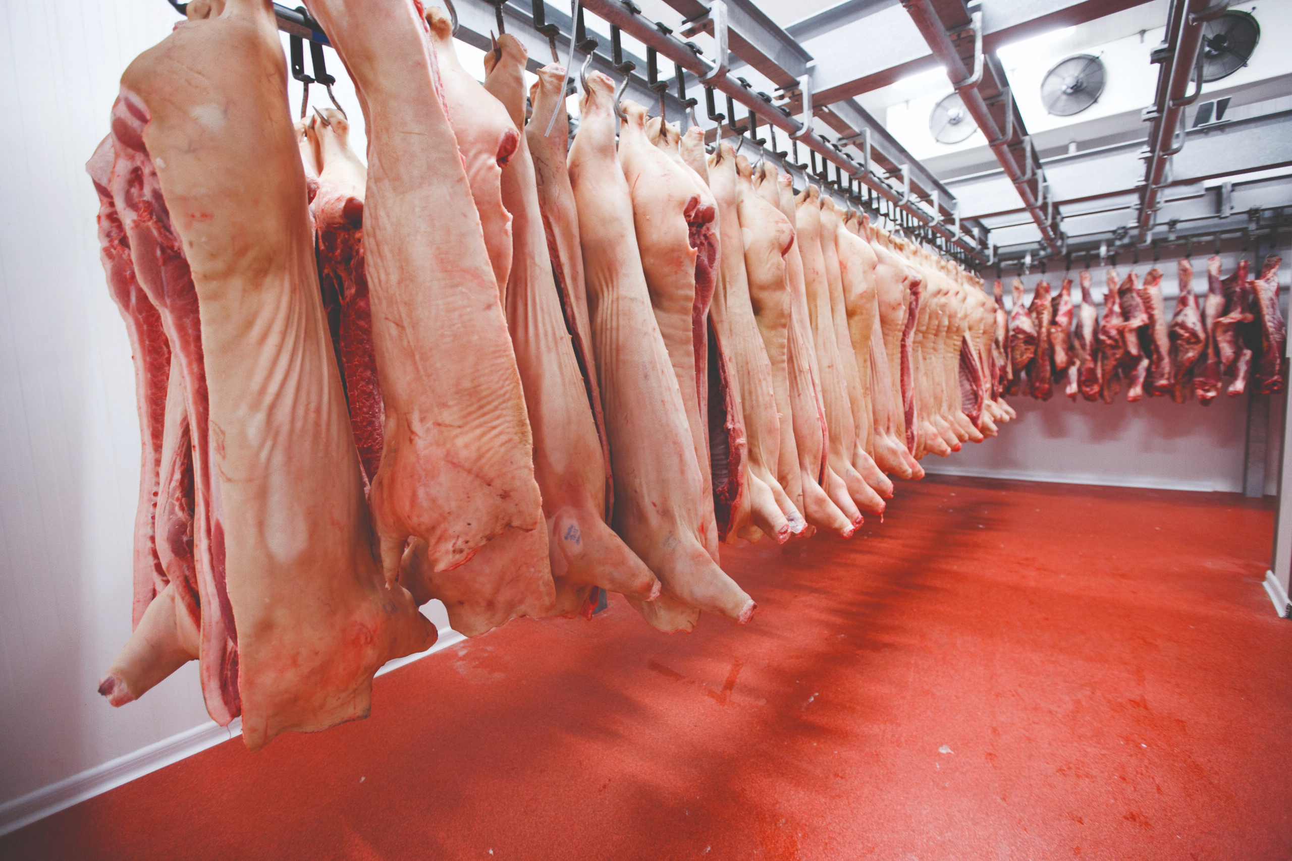 image_2025-12-03_10-03-14