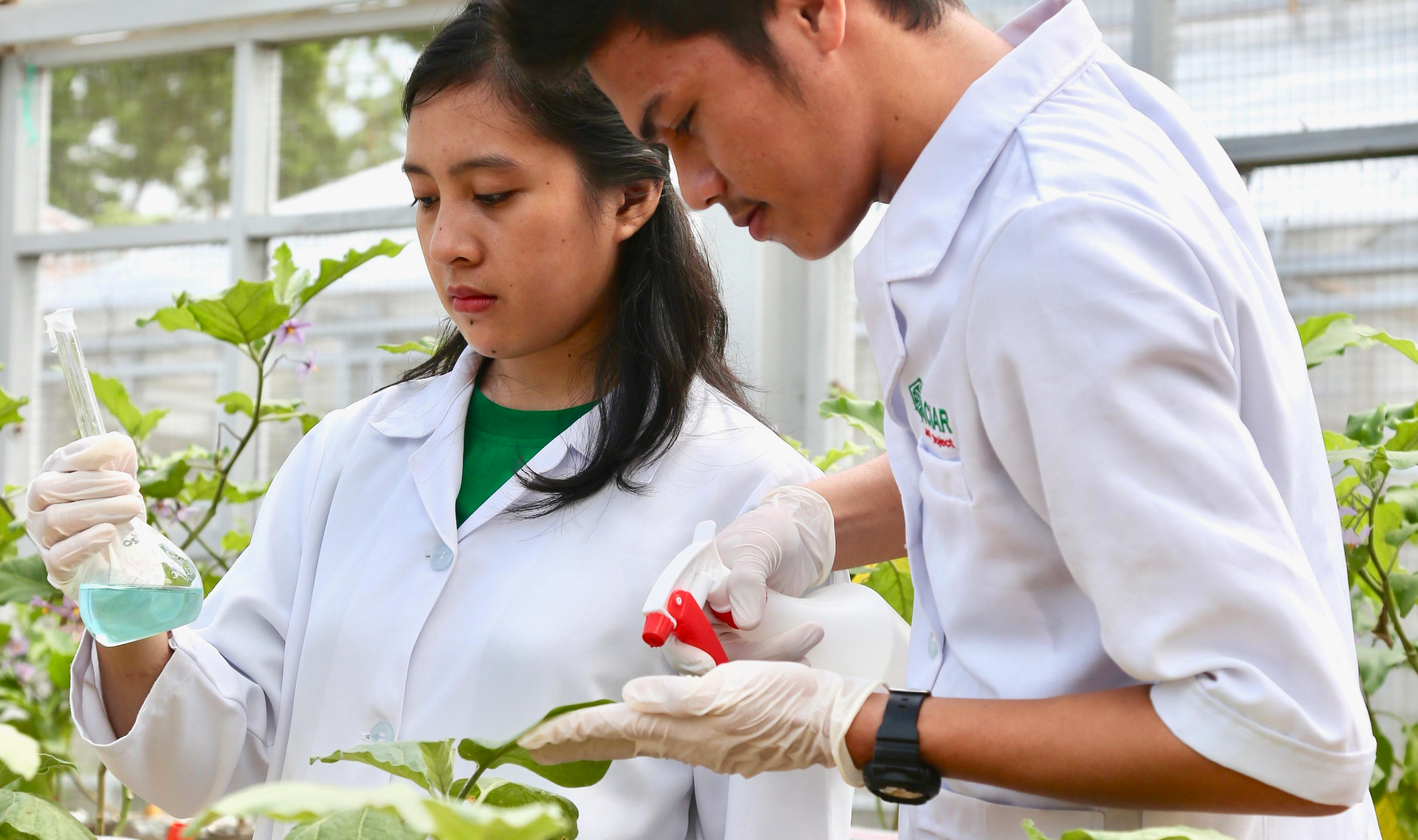 image_2025-12-08_11-33-04