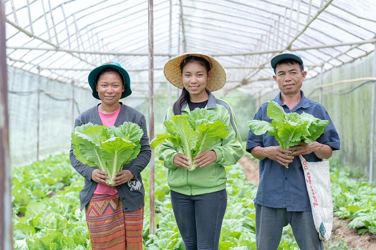 image_2025-12-08_11-35-26