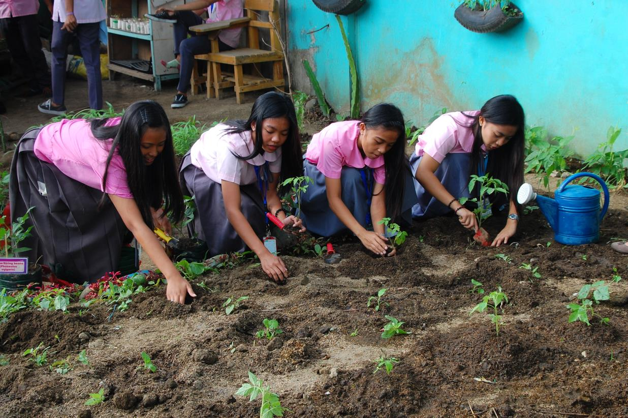 image_2025-12-08_11-36-58