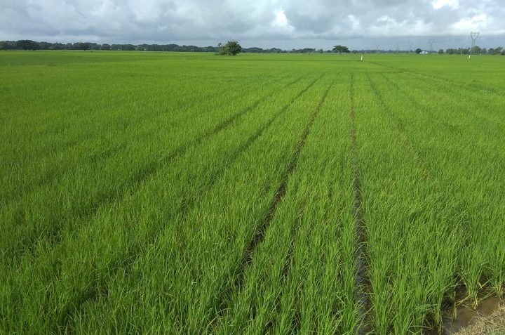 image_2025-12-09_09-54-25