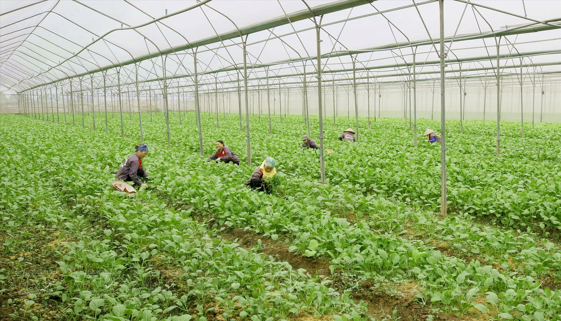 image_2025-12-09_10-06-56