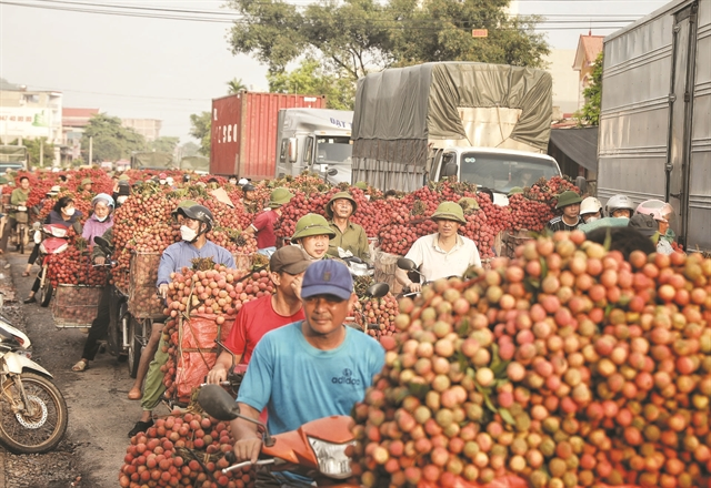 image_2025-12-09_10-15-41