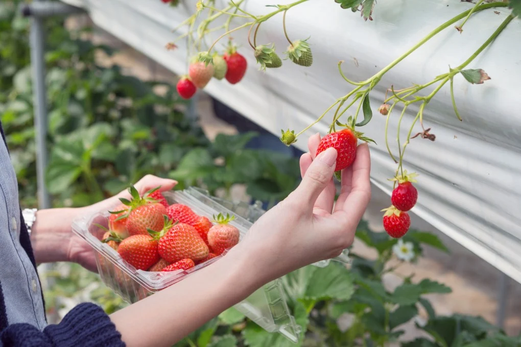 image_2025-12-09_16-20-06