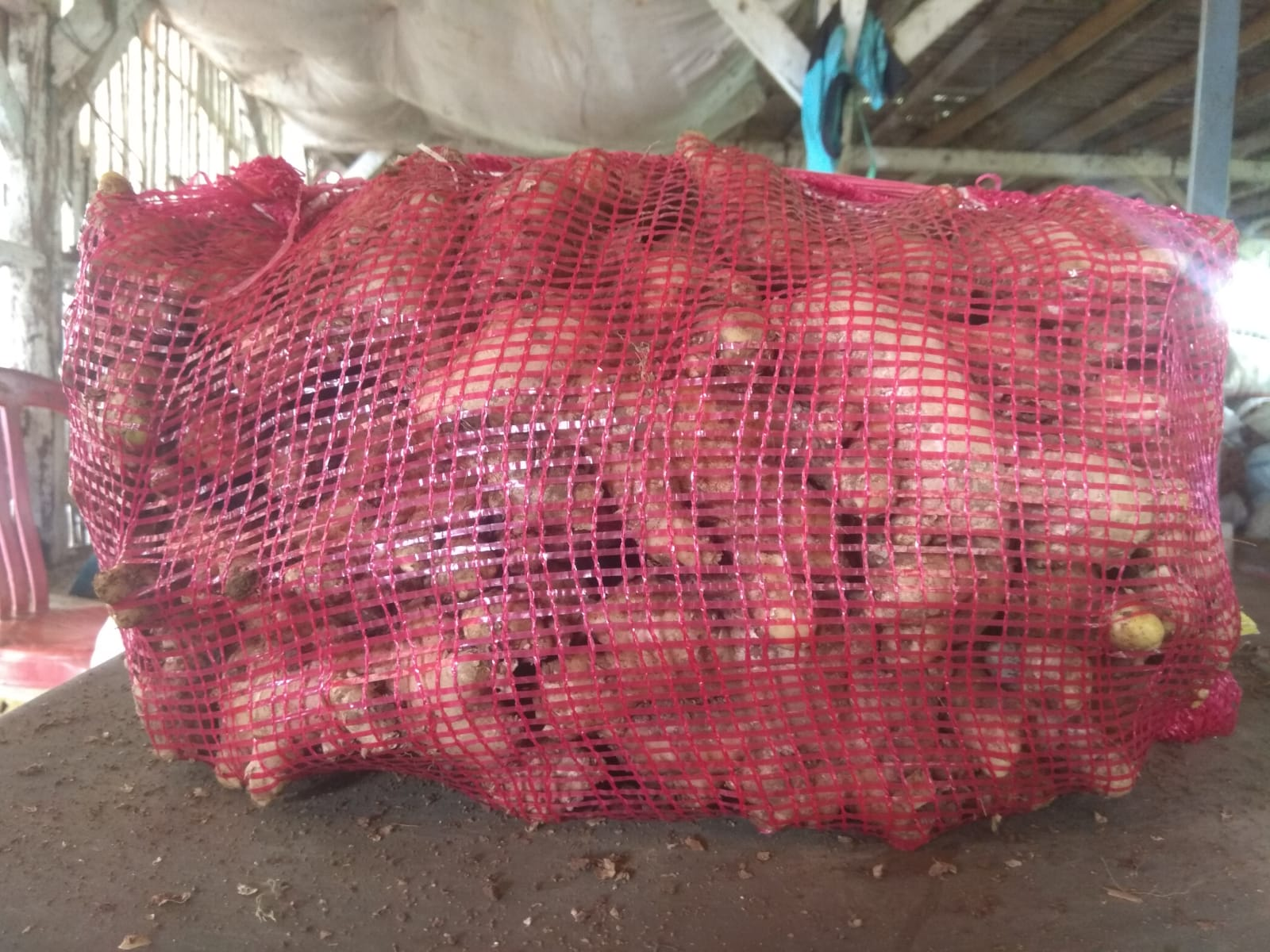 image_2025-12-11_10-35-47