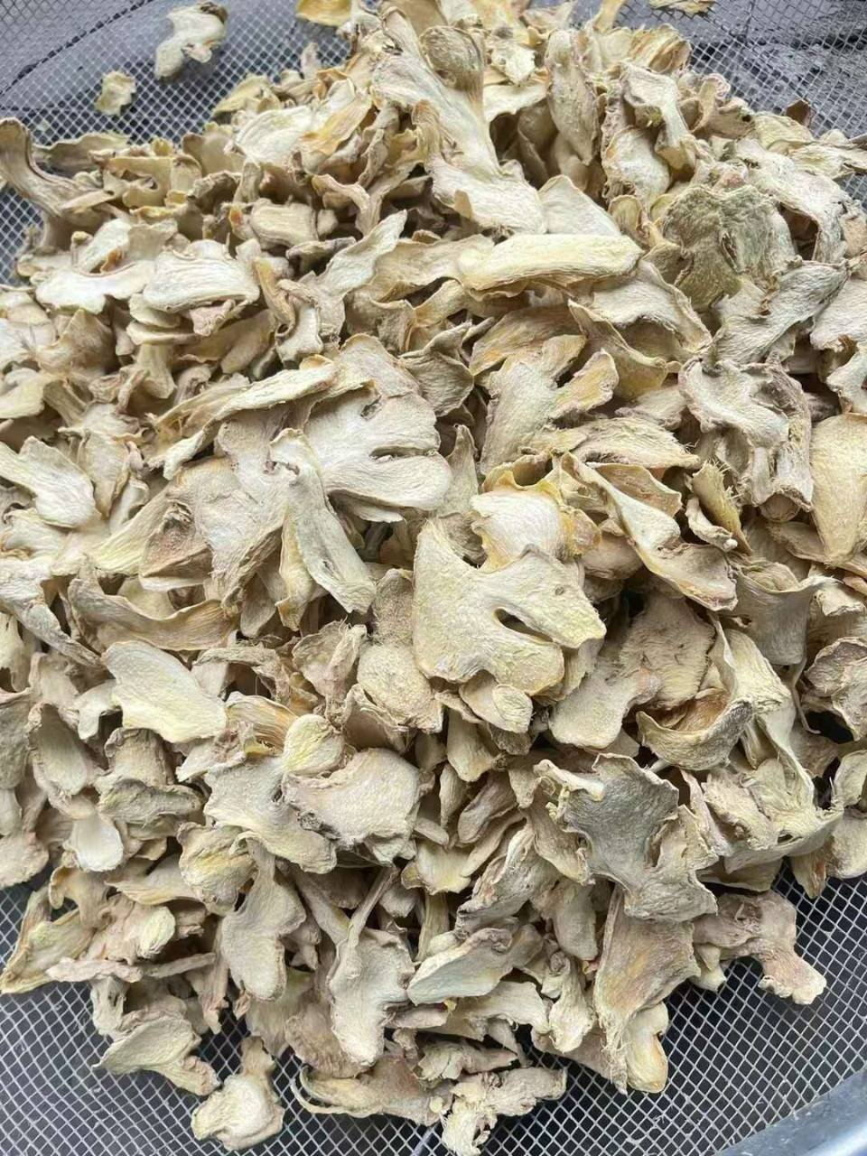 image_2025-12-11_10-45-00