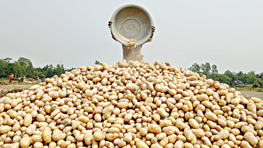 image_2025-12-12_10-23-43